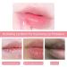 Lip Balm Set Moisturizing Lip Care Set Fruit Flavor Lip Balm Stick Lip Moisturiser for Lip Repair Hydrating Lip Balm for Dry Lips Chapped Lips Treatment Lip Repair Balm Lip Balm Lipstick(Blueberry) Blueberry Blue - Buy Online on GoSupps.com
