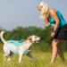 Hjyokuso Dog Cooling Vest - Summer Cooling Jacket for Small Medium & Large Dogs | Perfect for Outdoor Activities & Training | L Blue - Buy Online on GoSupps.com
