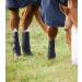 Premier Equine Turnout Mud Fever Boots Black Black M - Buy Online on GoSupps.com