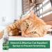 Cat Repellents Spray for Training & Deterrent - Prevent Cat Scratching Furniture - 1PCS - Buy Online on GoSupps.com