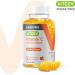 Immune Support: Sugar Free Vitamin C & Echinacea Gummies - 60 Count Pack - Vegan & Gluten Free - Buy Online on GoSupps.com