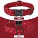Shop Unique Style Paws Dog Collars - Adjustable Bow Tie Collars for Small Medium Large Dogs | XS-XL L RD - International Shipping Available! - Buy Online on GoSupps.com