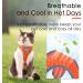 Thinkpet No-Pull Dog Harness Leash Set - Breathable Adjustable Reflective Safety Harness for Small Medium Large Dogs - Orange - Buy Online on GoSupps.com