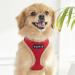 Puppia Soft Harness II - Comfortable Adjustable Soft Dog Harness for Small & Medium Dogs - Red XL - Buy Online on GoSupps.com
