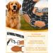 Buy Petcooz 3m Dog Leash - Durable Nylon Reflective Strong Tow Line for Medium & Large Dogs - Training Lines with Double Linen & 2 Carabiners - Buy Online on GoSupps.com