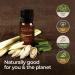 Gya Labs Organic Lemongrass Essential Oil - 10ml for Diffuser, Hair & Skin - Buy Online on GoSupps.com