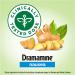 Dramamine Ginger Chews - Lemon Honey Ginger Flavor (20 Soft Chews) | Nausea Relief - Buy Online on GoSupps.com