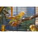 Cork Seat Rod for Nymphensittich 10cm Bird Seat with Bent Bar for Comfort & Claw Care | Ideal for Parrots & Birds - Buy Online on GoSupps.com
