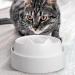 CatGuru Marshmallow Food Table - Elevated and Stylish Dining Solution for Cats - Buy Online on GoSupps.com