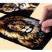 Night View Rainbow Scratch Art Painting Paper Set for Kids & Adults - A4 Size | Engraving Craft Kit with 4 Sheets, Drawing Pen, and Clean Brush - Lion, Tiger, Leopard, Wolf Designs - Buy Online on GoSupps.com