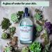 Buy Hyaluronic Acid Serum - Anti-Aging Hydrating Face Serum for Wrinkle Reduction - Buy Online on GoSupps.com