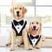 Dog Smoking Bandana Collar & Leash - Adjustable Tuxedo Headscarf for Small to Medium Dogs | Formal Wedding Party Attire - Buy Online on GoSupps.com