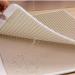 Premium Double Layer Large Cat Litter Mat - Scatter Control & Waterproof - L Biege - Buy Online on GoSupps.com