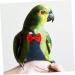FOMIYES Flying Bird Diapers - Parrot & Cockatiel Diaper Suit | Best Bird Clothes & Pigeon Supplies (12x6cm) - International Shipping Available - Buy Online on GoSupps.com