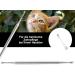 Premium Stainless Steel Dog Denture & Tartar Remover - 2-Sided Tooth Cleaner Scratcher for Pets - Buy Online on GoSupps.com