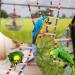 Natural Wood 10-Ladder Bird Ladder Bridge Set for Small Birds - Swing and Climbing Toys for Parakeet, Cockatiel, Finch, Lovebird, and more - Buy Online on GoSupps.com