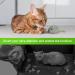 18 Pieces Interactive Cat Toys - Plush Mice & Cat Mint Fun for Kittens - International Shipping Available - Buy Online on GoSupps.com