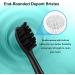 Premium Charcoal Toothbrush Replacement Heads for Philips Sonicare - Compatible Snap-On & Click-On Brush Heads - Buy Online on GoSupps.com