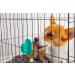 DIOCOL Dog Peanut Butter Toy for Crate Training | Anxiety-Reducing Dog Therapy Dispenser - Buy Online on GoSupps.com