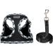 Doramio XXS Dog Harness & Leash for Small Dogs and Cats - Reflective Breathable Safety Harness - Step-In Design - Perfect for Small Breeds (Black) - Buy Online on GoSupps.com