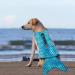 Rozkitch Large Mermaid-Blue Dog Life Jacket for Swimming and Boating - Adjustable Pet Floatation Vest with Handle for Pool and Beach Safety - Buy Online on GoSupps.com
