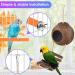 Erkoon Bird Toys for Parrots | Wooden Hanging Bells Hammocks & Rocking Toys - Perfect for Small Birds - Buy Online on GoSupps.com