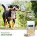 Aniforte Wersmix for Dogs - 50 Natural Ingredient Capsules | 10 Years Proven Support with Saponins Thyme Wormwood & Sage - Shop Internationally! - Buy Online on GoSupps.com