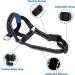Reflective Dog Handlebars with Seat Belt | No-Pull Solution for Small Medium & Large Dogs (L Blue) - Shop Now! - Buy Online on GoSupps.com