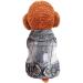 Stylish Denim Jacket Vest for Small & Medium Dogs - Trendy Pet Fashion & Summer Sweater - Buy Online on GoSupps.com