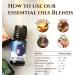 Ecodrop Sleep Essential Oil Blend - 10ml Bottle | Lavender Marjoram Ylang Ylang Copaiba Chamomile Sandalwood Oils for Night Calm & Relaxation - Buy Online on GoSupps.com
