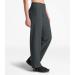 THE NORTH FACE Women's Everyday High-Rise Pants - Large Long, Asphalt Grey - Past Season - Buy Online on GoSupps.com