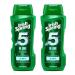 Irish Spring 5-in-1 Shampoo, Conditioner, Body Wash, Face Wash and Deodorizer, 18 oz (Pack of 2)