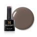 Bluesky Gel Nail Polish Mud A020 Chocolate Brown Long Lasting Chip Resistant 10 ml (Requires Drying Under UV LED Lamp)