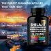 Pure shilajit Supplement with ashwagandha Ginseng rhodiola rosea cordyceps Mushroom Ginkgo biloba stinging Nettle Turmeric 8 in 1 Supplement - Buy Online on GoSupps.com