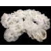 Sovenny 12 Piece Elastic Pearl Wrist Corsage Bands for Wedding Prom - White Wristlets - Buy Online on GoSupps.com