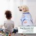 Kuoser Dog Recovery Suit for Male Dogs - Breathable Post-Surgery Body with Leakage Protection - XXL Blue Boat (1 Pack) - Buy Online on GoSupps.com