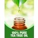 Ethereal Nature Tea Tree Oil 1.01 fl. oz. - 100% Pure Essential Oil - Buy Online on GoSupps.com