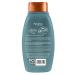 Aveeno Rose Water & Chamomile Shampoo for Dry Scalp - 12 Fl Oz - Buy Online on GoSupps.com