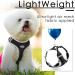 Buy Thinkpet No-Pull Dog Harness - Breathable & Adjustable Soft Running Harness for Small Medium & Large Dogs - Padded Reflective Safety Harness (Black) - 2XS (1 Pack) - Buy Online on GoSupps.com