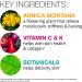 VitaMedica Arnica Montana 30X HPUS Tablets & Cream for Bruising & Swelling - Post Surgery or Injury - Buy Online on GoSupps.com
