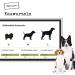 100% Natural Chewies Chewing Root for Dogs - Durable & Safe Dog Toy for Small Dogs (Up to 10kg) | Baumheide Wurzel - S (1 Pack) - Buy Online on GoSupps.com