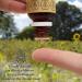 20ml Nordbienchen Propolis Tincture - 20% Pure Propolis Extract from Beekeeper - Buy Online on GoSupps.com