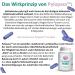 Pylopass Mono 200mg - 60 Vegan Capsules for Helicobacter Pylori Management | Lactose-Free & Gluten-Free | Quality Assured - Buy Online on GoSupps.com