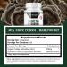 Probase Nutrition Turkey Tail Capsules - Digestive Health & Immune Response Support Supplement - Mushroom Supplement for Gastrointestinal & Gut Microbiome Support - 120 Capsules - Buy Online on GoSupps.com