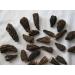 Dried Wild Morel Mushrooms Premium Morels Wild Morchella