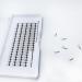 Emeda 8D Volume Eyelash Extension - D Curl 2 Boxes with 2 Compartments 8-12mm Clusters for Salon Use - International Shipping - Buy Online on GoSupps.com