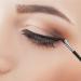 Fine Angled Eyeliner Brushes - JASSINS Precision Gel Liner Brush Set Synthetic Bristles Ultra Thin Slanted Angle | 2 Pack for Perfect Eye Makeup - Buy Online on GoSupps.com
