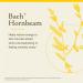 Bach Original Flower Remedies Hornbeam - Procrastinate Less - Natural Homeopathic Flower Essence for Emotional Balance - Vegan Gluten Free Sugar Free - 20mL Dropper - Buy Online on GoSupps.com