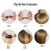 12PCS Colored Red Hair Extensions - 20 Inch, Straight Multicolor Clip in Hair Highlights for Kids & Women - Perfect for Halloween & Christmas Parties - Buy Online on GoSupps.com