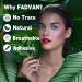 FADVAN 500 piece eyelid strips slip-on eyelid adhesive tape double eyelid self-adhesive invisible eyelid strips - Buy Online on GoSupps.com